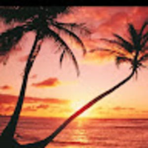 Meet your Posher, Mindy